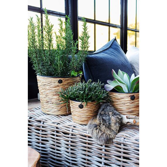 Franz Müller Flechtwaren Übertopf rund, Wasserhyazinthe, Natur gedreht, 23 x 23 x 24 cm