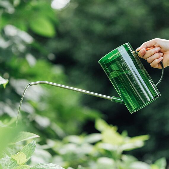 Lizbin Gießkanne für Zimmerpflanzen mit langem Auslauf, Pflanzengießkanne, kleine Gießkannen, Innengießkannen für Zimmerpflanzen, Blumen, Sukkulenten 1L / 34oz (Grün)