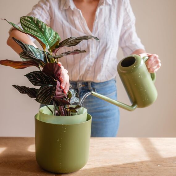 Plastia Gießkanne klein für den Zimmerpflanzen 1,8 L - Blumengießkanne aus recyceltem Kunststoff - Giesskanne mit langem Ausgießer für einfache Bewässerung, Elfenbein