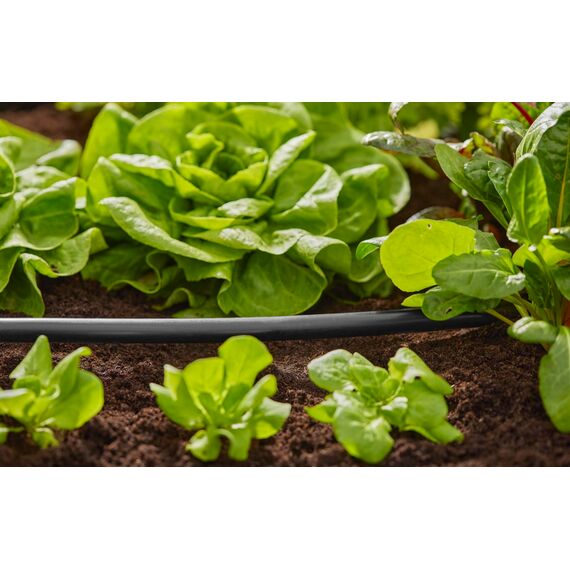 Gardena Micro-Drip-System Verlegerohr: Zentrale Versorgungsleitung, 13 mm (1/2 Zoll), ober- und unterirdisch verlegbar, UV-stabilisiert, 15 m (1346-20)