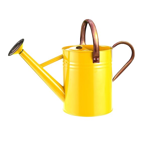 Gardman 34872 Metall-Gießkanne - Orange zest