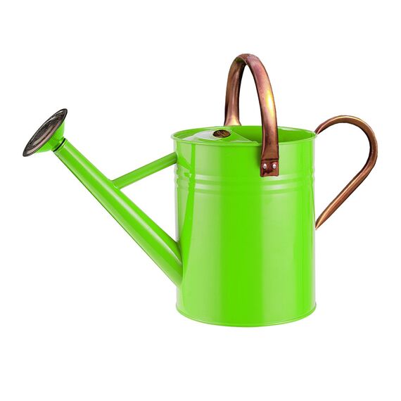 Gardman 34874 Metall-Gießkanne - Fresh, grün