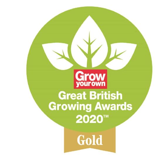 Spear & Jackson NEVERBEND3KW Kew Gardens Kollektion Geschenkset aus Neverbend-Karbonstahl, 3-teilig