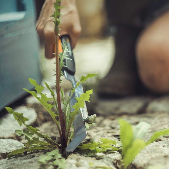 Fiskars 315550-1001 315550 Xact Handschneider, Silber/schwarz