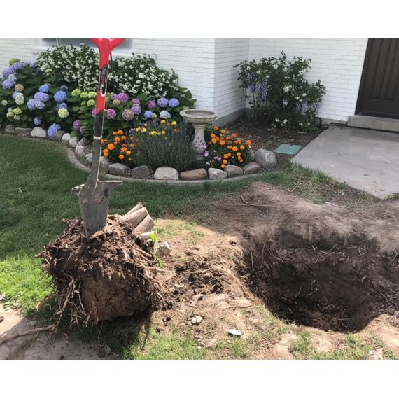 Root Slayer Radius Garden Wurzel-Spaten – 2017 Green Thumb Award for Most Innovative Garden Tool, rot