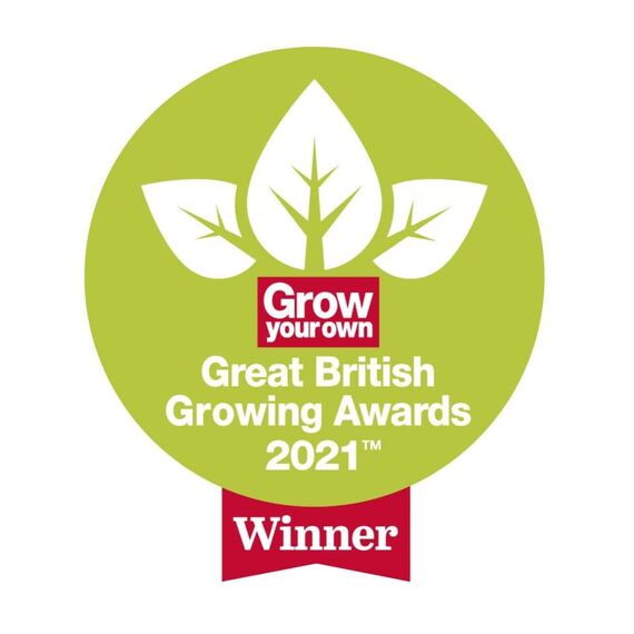 Spear & Jackson 3884NB niemals biegen Kohle Kunststoff-Blattrechen Holzstiel