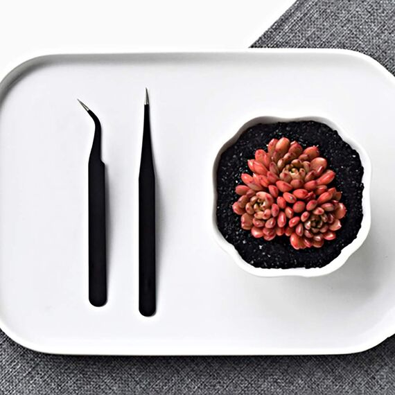 BlueMake 15-teiliges Sukkulenten-Werkzeug, Mini-Gartenhandtransplantation, Sukkulenten-Werkzeuge, Miniatur-Pflanzen-Set für drinnen und drinnen (15-teiliges Werkzeug-Set)