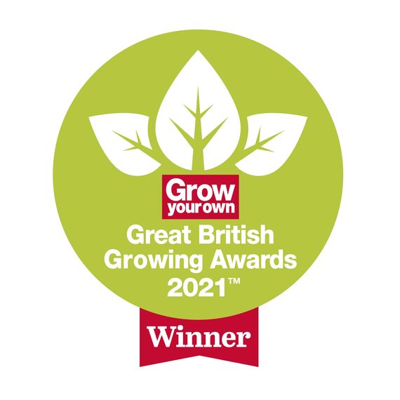 Spear & Jackson 3884NB niemals biegen Kohle Kunststoff-Blattrechen Holzstiel