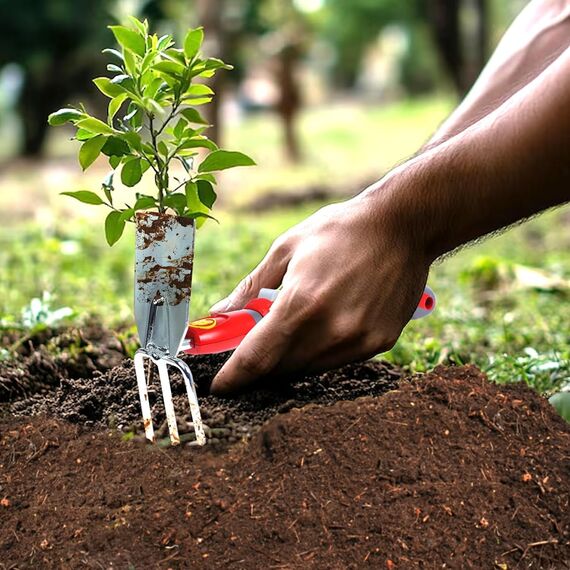 WOLF Garten P262 LU-Z/LA-M/LD-M/LN-M/ZM30, MULTI-STAR MINI-SET