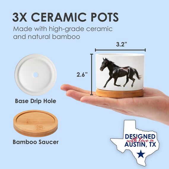 Pferde-Pflanzgefäße, Pferde-Geschenke für Mädchen, Pferde-Geschenke für Frauen einzigartig, Reiter-Geschenke für Mädchen, Pferde-Geschenke für Männer, Pferde-Trainer Geschenke