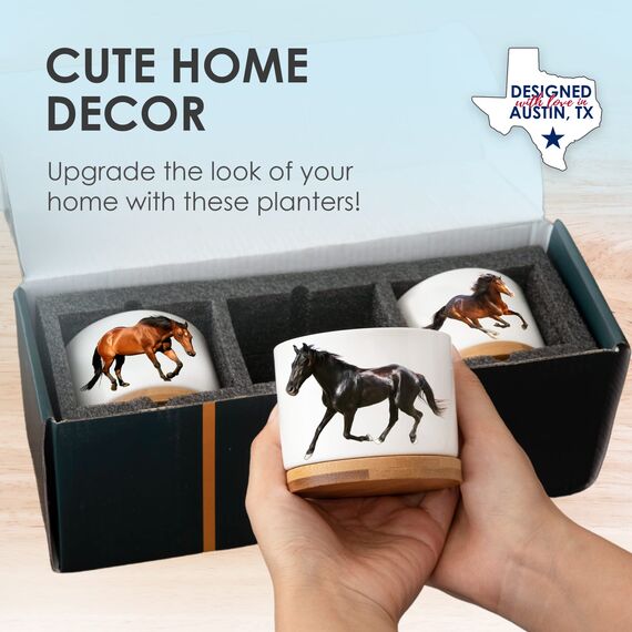 Pferde-Pflanzgefäße, Pferde-Geschenke für Mädchen, Pferde-Geschenke für Frauen einzigartig, Reiter-Geschenke für Mädchen, Pferde-Geschenke für Männer, Pferde-Trainer Geschenke