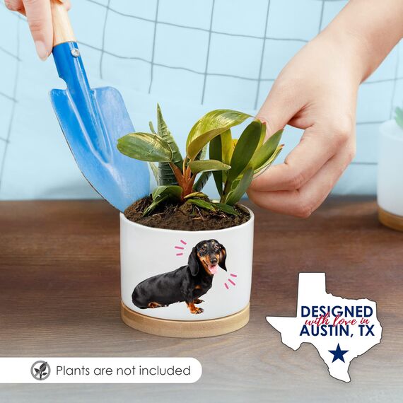 Rosa Vila Dackel Pflanzgefäße, Dackel Geschenke für Frauen & Männer, Premium Qualität Hundeliebhaber Geschenke, Weiner Hund Geschenke für Frauen, Daschund Geschenke für Frauen, Tolles Geschenk für