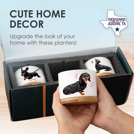 Rosa Vila Dackel Pflanzgefäße, Dackel Geschenke für Frauen & Männer, Premium Qualität Hundeliebhaber Geschenke, Weiner Hund Geschenke für Frauen, Daschund Geschenke für Frauen, Tolles Geschenk für