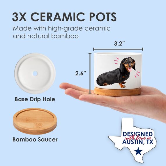 Rosa Vila Dackel Pflanzgefäße, Dackel Geschenke für Frauen & Männer, Premium Qualität Hundeliebhaber Geschenke, Weiner Hund Geschenke für Frauen, Daschund Geschenke für Frauen, Tolles Geschenk für