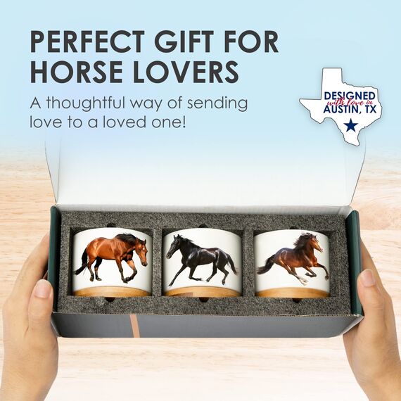 Pferde-Pflanzgefäße, Pferde-Geschenke für Mädchen, Pferde-Geschenke für Frauen einzigartig, Reiter-Geschenke für Mädchen, Pferde-Geschenke für Männer, Pferde-Trainer Geschenke