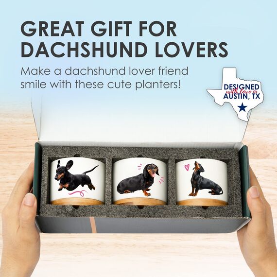 Rosa Vila Dackel Pflanzgefäße, Dackel Geschenke für Frauen & Männer, Premium Qualität Hundeliebhaber Geschenke, Weiner Hund Geschenke für Frauen, Daschund Geschenke für Frauen, Tolles Geschenk für