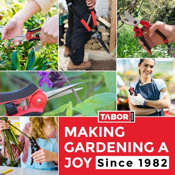 TABOR TOOLS J16E Gartenrechen, Metall Harke mit teleskopierbare Griff (82-160cm), verstellbare Laubbesen mit zusammenklappbare Werkzeugkopf (20cm - 58cm)