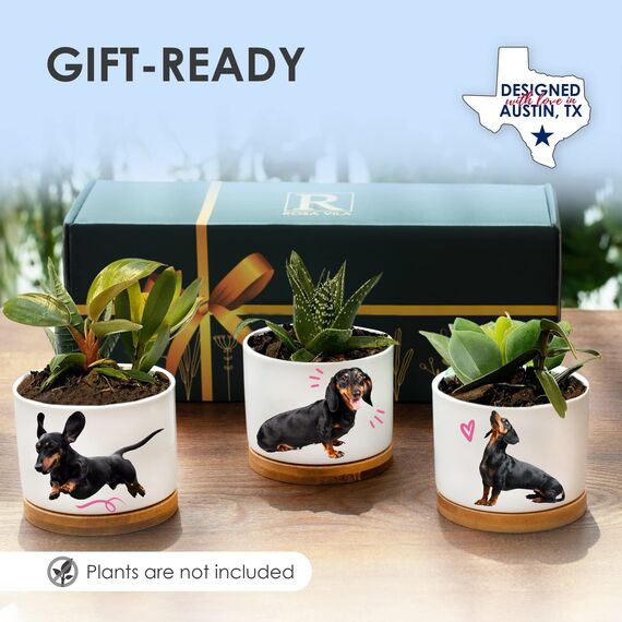 Rosa Vila Dackel Pflanzgefäße, Dackel Geschenke für Frauen & Männer, Premium Qualität Hundeliebhaber Geschenke, Weiner Hund Geschenke für Frauen, Daschund Geschenke für Frauen, Tolles Geschenk für