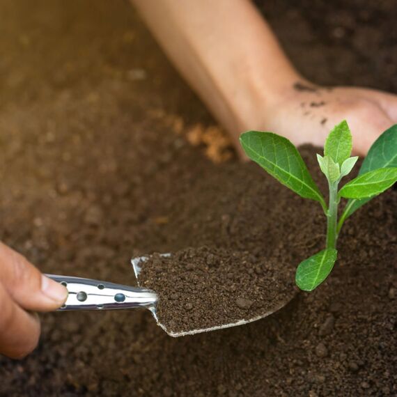 WOLF Garten P262 LU-Z/LA-M/LD-M/LN-M/ZM30, MULTI-STAR MINI-SET