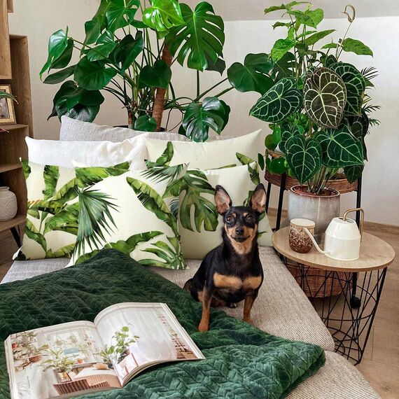 Cirzone Outdoor Kissen Wetterfest 45x45 4er Set Dekokissen, Kissenbezüge Sofakissen für Deko Wohnzimmer, Garten, Balkon