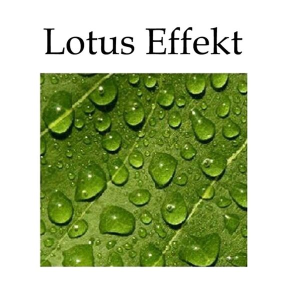 heimtexland ® Outdoorkissen Bedruckt 45x45 Garten Lounge Dekokissen Outdoor Lotus Effekt Typ742 Südsee Kajak