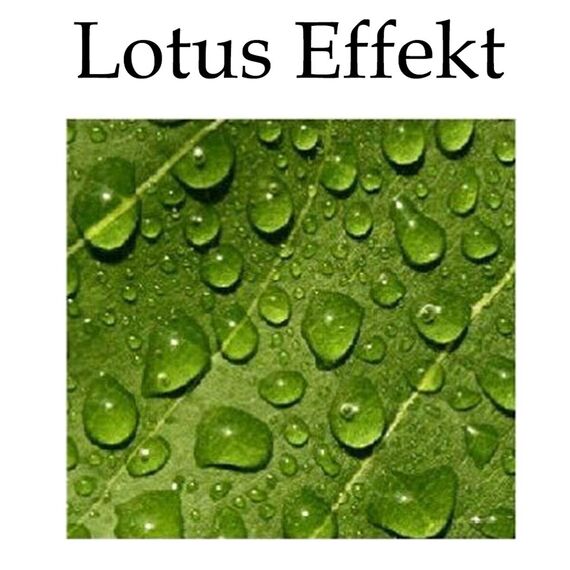 heimtexland ® Outdoorkissen Dekokissen Schmutz- und Wasserabweisend Landhaus Garten Outdoor Kissen Blumen Rosé Grün Typ675