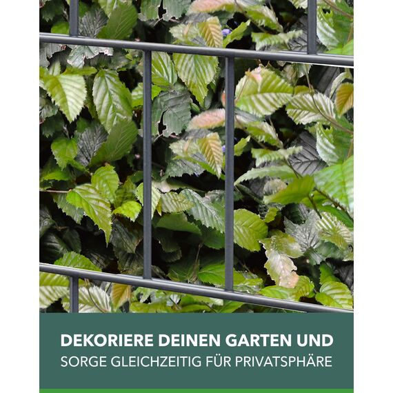 Zaundruck Sichtschutzstreifen Polyester - nachhaltiger Sichtschutz für Doppelstabmattenzaun - Motiv Windschutz 23,4 m x 19 cm - Sichtschutz-Rolle - Buchenhecke