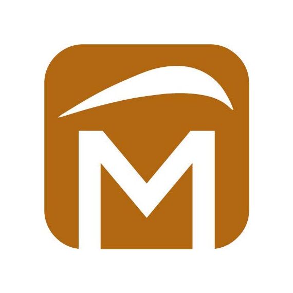 markiso Markisenkurbel 100 cm Verzinkt – Kurbel für Markise mit Fleischerhaken – Kurbelgestänge verzinkter Stahl, Rostfrei, Ergonomische Griffe, Freilaufend für Leichte Bedienung