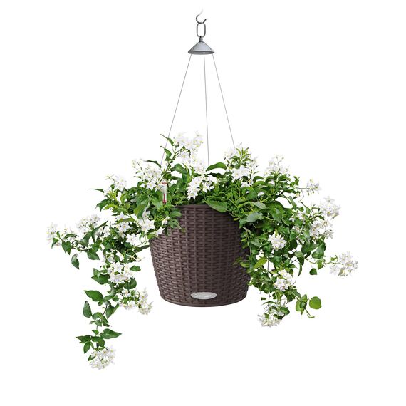 Lechuza Nido Cottage Komplettset Mokka