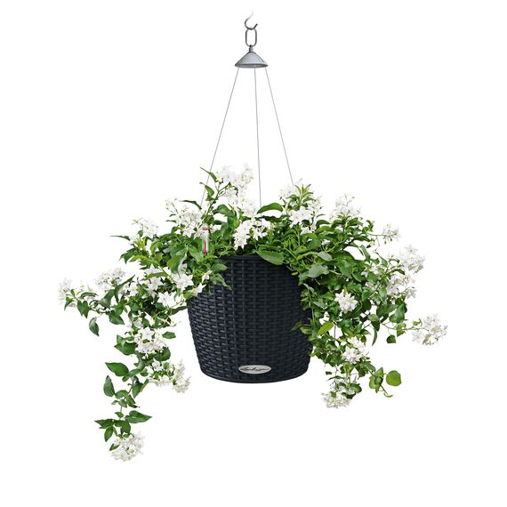 LECHUZA NIDO Cottage 35 graphitschwarz 15303