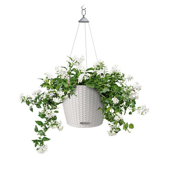 Lechuza Nido Cottage 28 lichtgrau 15107 (Packung mit 2)