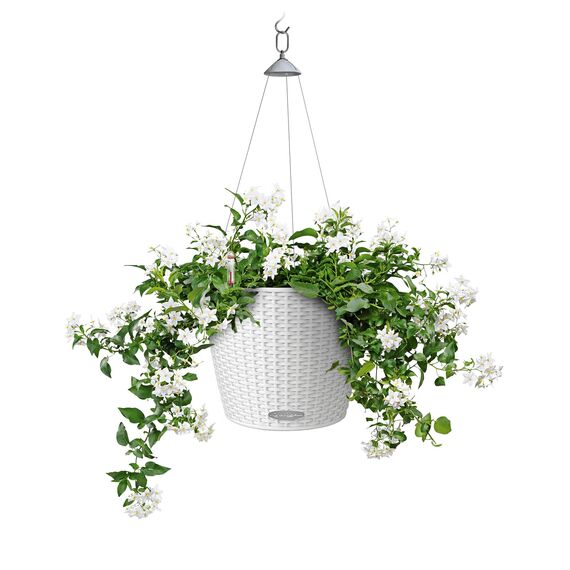 Lechuza Nido Cottage 28 weiß 15190, 27x27x23 cm (Packung mit 2)