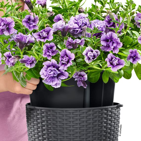 LECHUZA Nido Cottage 35 lichtgrau 15307