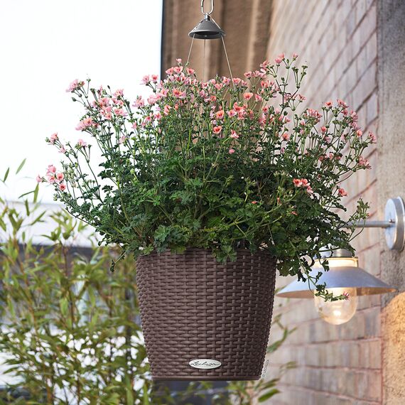 Lechuza Nido Cottage Komplettset Mokka