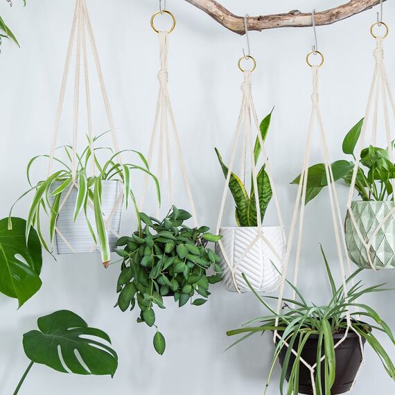 Flintronic 4er Set Makramee Blumenampel, Baumwollseil Hängeampel Hängetopf für Pflanzen mit 4Pc S Metallhaken für Innen, Garten, Wohnzimmer，Außen, Balkon, Fenster, Balkone Wanddekoration