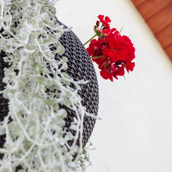 Hängepflanztopf Hanging Sphere