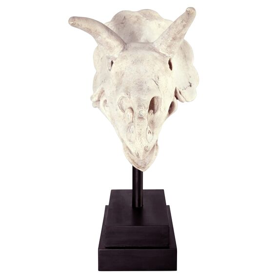 Design Toscano Triceratops, Dinosaurier-Fossilschädel-Figur auf Museums-Pin