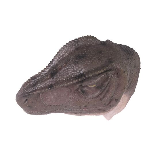 Design Toscano Gigantischer Allosaurus, Dinosaurier-Wandtrophäe: Geschlossener Mund