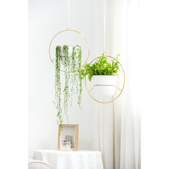 Mkouo Boho Hängepflanzen, 2 Stück, rund, aus Metall, mit Topf aus Kunststoff, moderner Blumenkasten für Wände und Decken, geeignet für Blumenkästen von 15 cm, goldfarben (Töpfe inklusive)