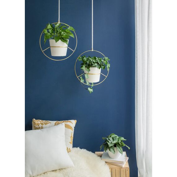 Mkouo Boho Hängepflanzen, 2 Stück, rund, aus Metall, mit Topf aus Kunststoff, moderner Blumenkasten für Wände und Decken, geeignet für Blumenkästen von 15 cm, goldfarben (Töpfe inklusive)