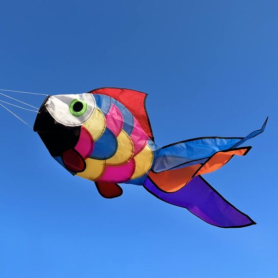 emma kites Niedlicher Regenbogenfisch-Windsack, Regenbogenspirale, 81,3 cm, für Hinterhof, Garten, Terrasse, Dekoration, Strand, Windspiel, Flyer mit Schnapp-Drehgelenk, Einzeleinheit