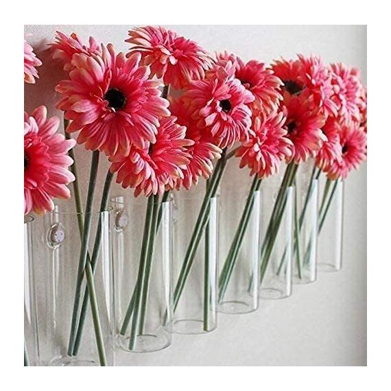 iPoplor DZHJKIO 4er Set Hängende Glas-Pflanzgefäße für Innen- und Außenpflanzen