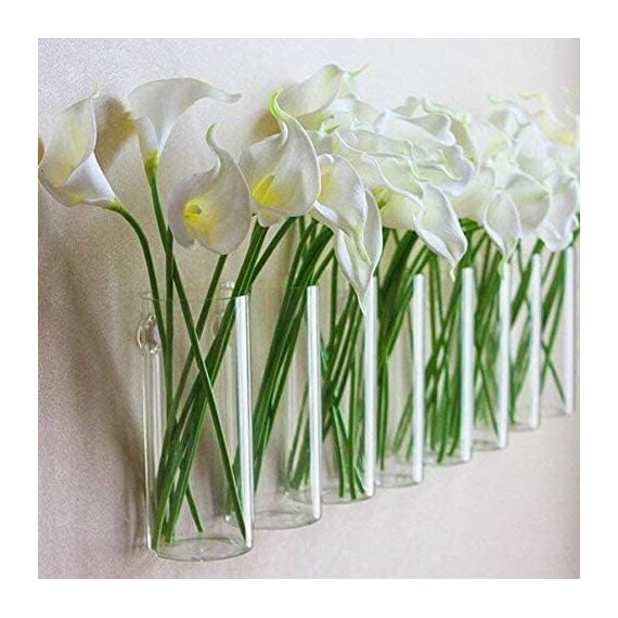 iPoplor DZHJKIO 4er Set Hängende Glas-Pflanzgefäße für Innen- und Außenpflanzen