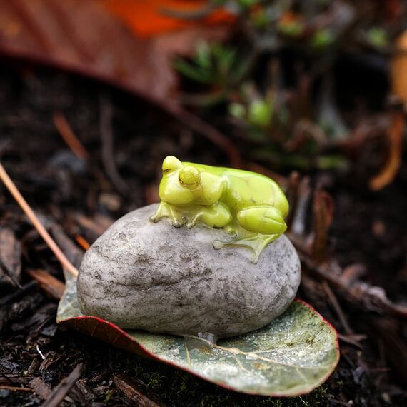 Top Collection Miniatur Feengarten und Terrarium Statue Schlafender süßer Frosch auf Stein