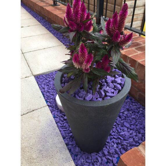 RockinColour Dekosteine Dekosteine Gartensteine 20mm Purple Rain. Ideal für dekorative Eigenschaften UV-stabil und witterungsbeständig sichere Farbbeschichtung 14kg-15kg