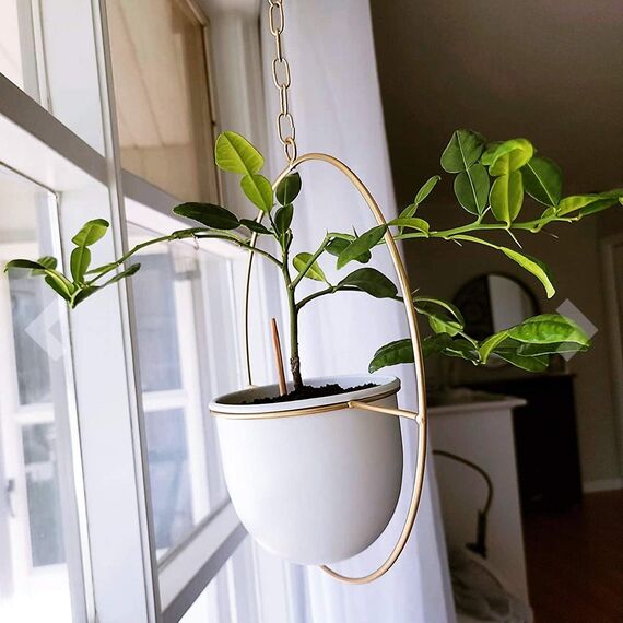 Shineloha Hängende Pflanzgefäße für Zimmerpflanzen mit 14 cm Topf + Deckenhaken + Verlängerungskette | Hängender Pflanzenhalter, minimalistischer Metall-Pflanzgefäß, keine Pflanze im Lieferumfang