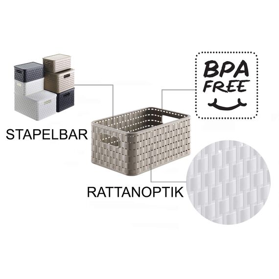 Rotho Country 3er-Set Aufbewahrungsbox 6l in Rattan-Optik, Kunststoff, beige