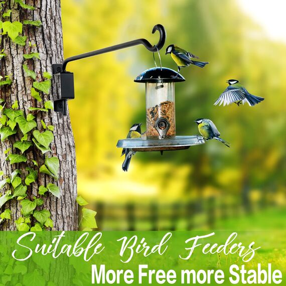 Qiang Ni Pflanzenaufhänger für den Außenbereich: 40,6 cm Vogelfutterstation für Garten, Terrasse, Dekoration, 2 Stück, drehbare, verstellbare Wandhalterung, Pflanzenhaken zum Aufhängen von