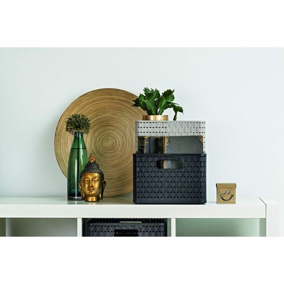 Rotho Country 3er-Set Aufbewahrungsbox 6l in Rattan-Optik, Kunststoff, beige