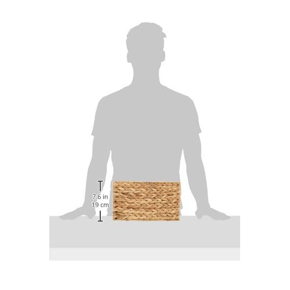 Honey-Can-Do DREI gewebte Aufbewahrungskörbe aus Wasserhyazinthe mit Griffen, Bananenblatt, Stahl, Natur, 3-Pack, 3 (Packung mit 3)